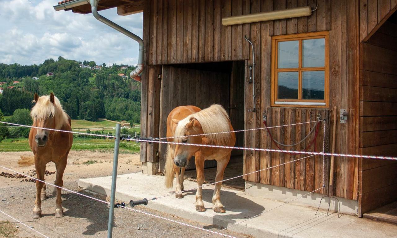 Ferienwohnung Dichtl Grafenau  Eksteriør bilde